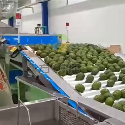 Fully automatic avocado oil pressing production line with Horizontal Rotor Centrifuge 2/3 Phase Liquid-solid Decanter