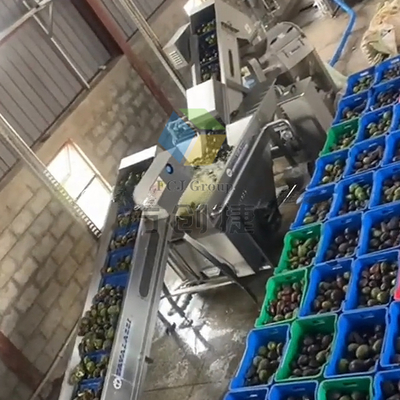 Fully automatic avocado oil pressing production line with Horizontal Rotor Centrifuge 2/3 Phase Liquid-solid Decanter
