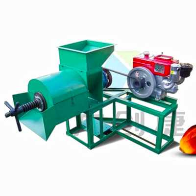 Palm Kanel Oil Machine Cold Press Oil Machine Palm Seed Machine to Make Palm Oil