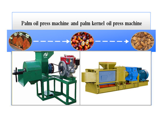 Oil Pressers Palm Fruit Oil Press Machine Small Capacity Palm Fruit Line  Palm oil production line