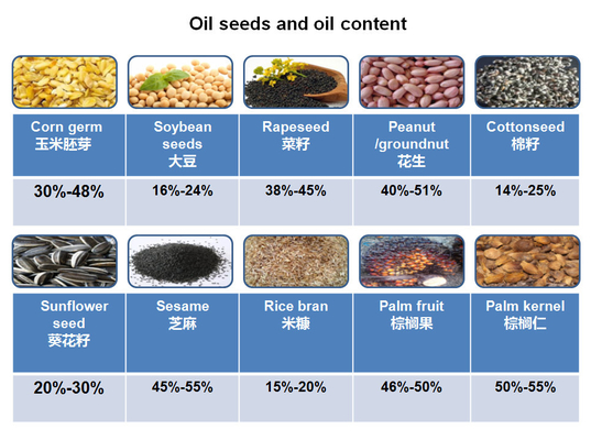 Latest design palm kernel oil processing machine from palm fruit  Newest palm oil processing plant for sale