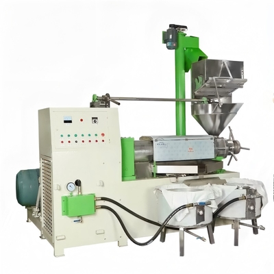 Cold and Hot Press Oil Making Machine for Groundnuts Sunflower Soybean Sesame Oil Press Machine with Oil Filter