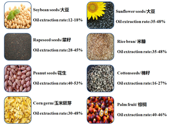 High Performance Automatic Screw Soybean Oil Press Good Quality Cold Spiral Sesame Oil Extract Machine