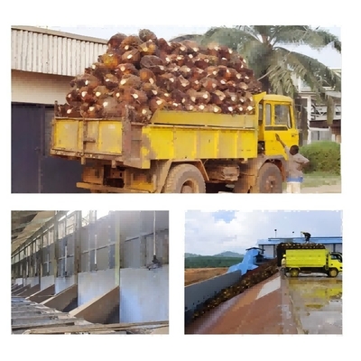 1-2T/H Automatic Edible Oil Production Line Palm Oil Presser for Efficient Palm Oil Processing