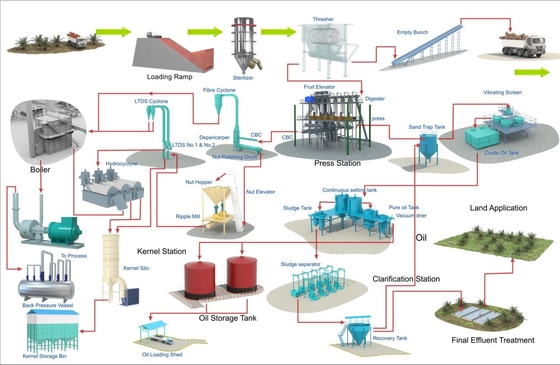 Fully Automatic Palm Oil Processing Machine - 1-2T/H High Efficiency Edible Oil Production Line